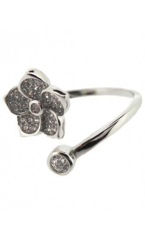 Plata Anillo