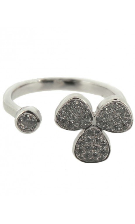 Plata Anillo